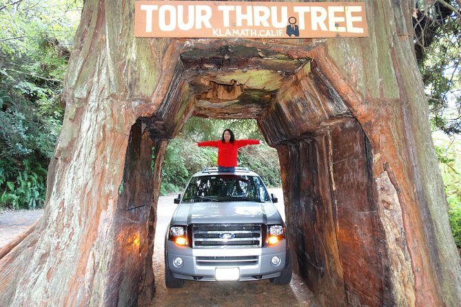 Private Avenue of the Giants Redwoods Day Trip from San Francisco - Authentic Traveler Insights