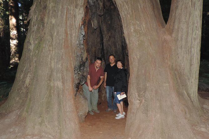 Private Avenue of the Giants Redwoods Day Trip from San Francisco - FAQs
