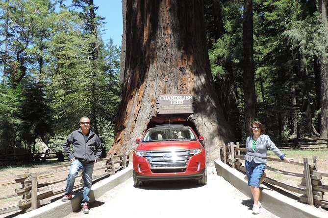 Private Avenue of the Giants Redwoods Day Trip from San Francisco - The Sum Up