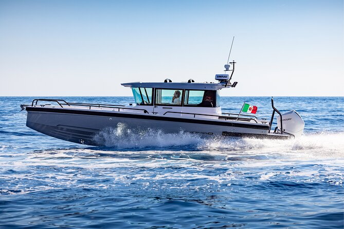 Private Axopar 28 Speedboat Trip in Santorini W/ Snacks & Drinks - The Sum Up