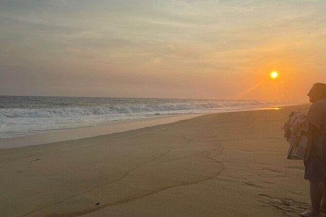 Private Baby Sea Turtle Release Huatulco HT - How the Tour Starts and What to Expect