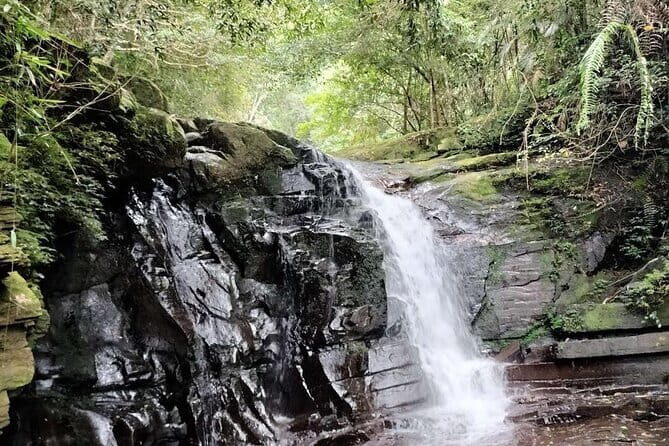 Private Bach Ma National Park Day Trip from Hoi An/Da Nang or Hue - Introduction to the Tour