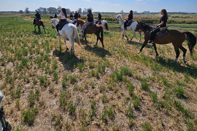 Private Bachelorette Party With Horseback Riding on the Beach - Additional Considerations