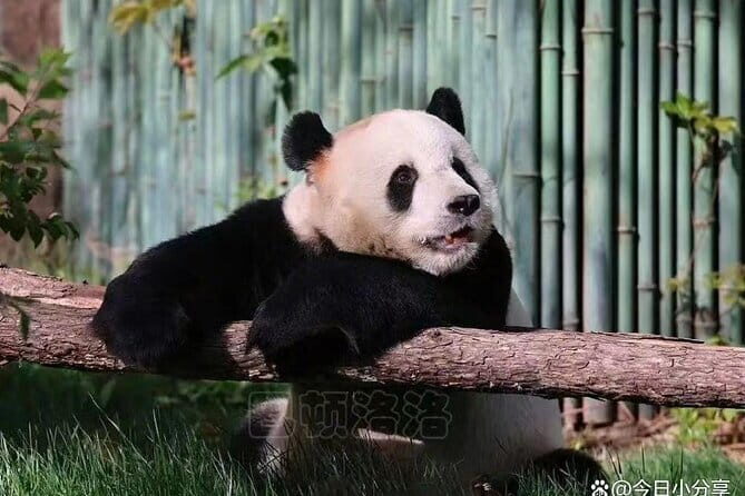 Private Badaling Great Wall Night Tour with English Driver - Discovering the Nighttime Wonder of the Great Wall