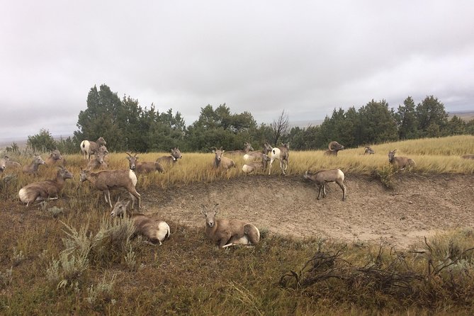 Private Badlands National Park Day Tour - Cancellation and Refund Policy
