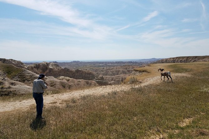 Private Badlands National Park Day Tour - The Sum Up