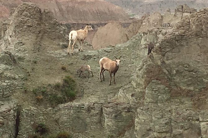 Private - Badlands Tour With Sunset/Stargazing - Group Size and Pricing