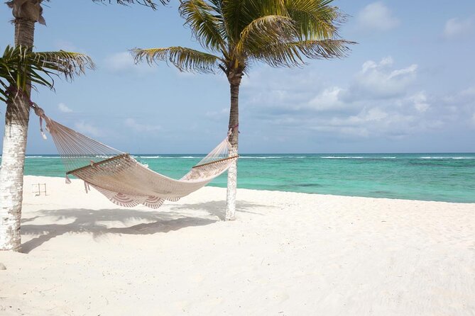 Private Bahamas Half-Day Fishing Tour From New Providence - Tour Highlights