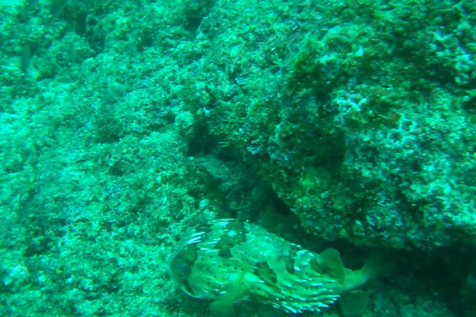 Private Bahia De Banderas South Beaches Adventure - Overview of Private Bahia De Banderas South Beaches Adventure