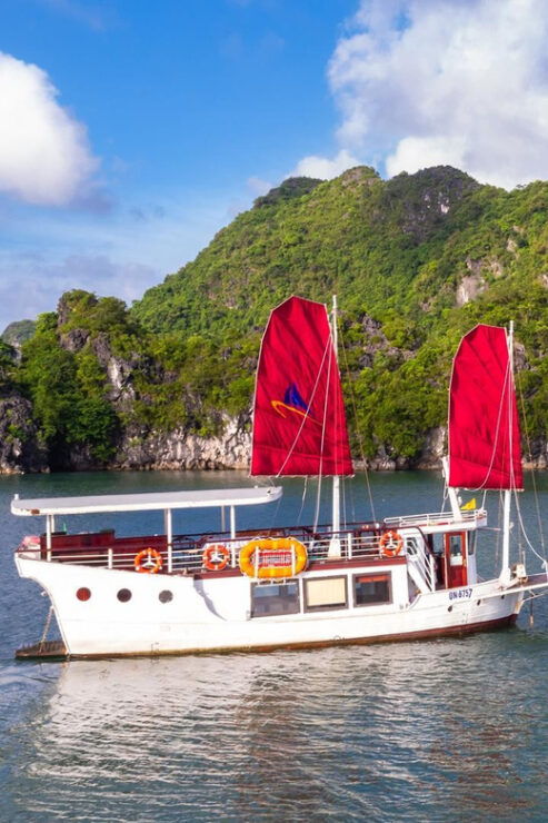 Private Bai Tu Long Day Cruise With Kayak - Itinerary Highlights