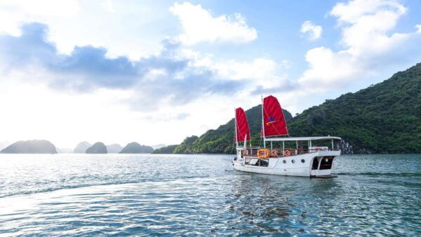 Private Bai Tu Long Day Cruise With Kayak - Departure and Return