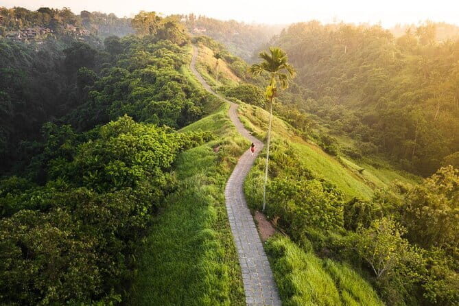 Private Bali Airport Transfer in Ubud Area - Authentic Insights from Travelers