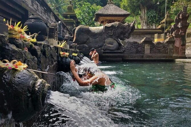 Private Bali Airport Transfer in Ubud Area - A Practical Look at the Private Bali Airport Transfer