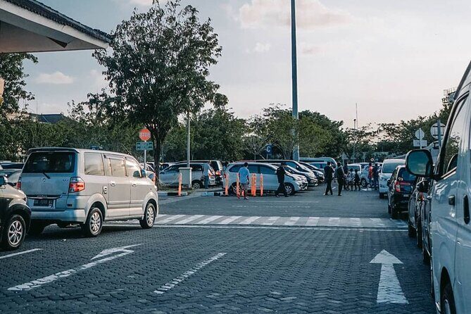 Private Bali Arrival Transfer: Airport to Ubud Hotels - Who Is This Transfer Best For?