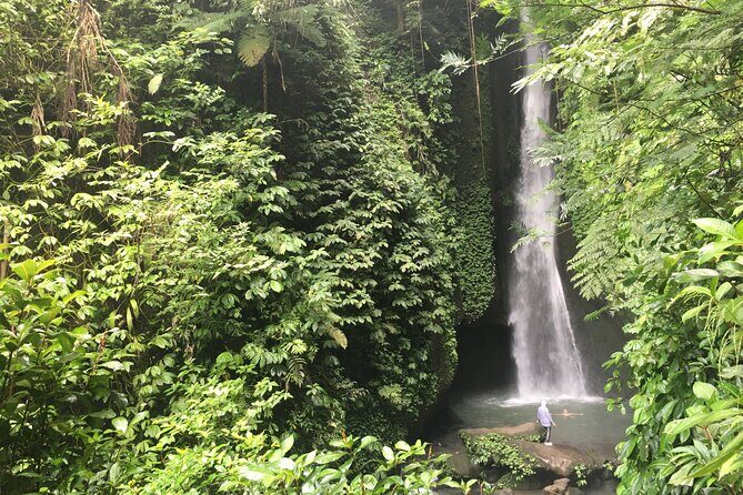 Private Bali Custom Tour  Full Day with English-Speaking Driver - Who Should Book This Tour?