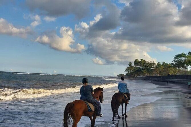 Private Bali Horse ride - What Is the Private Bali Horse Ride?