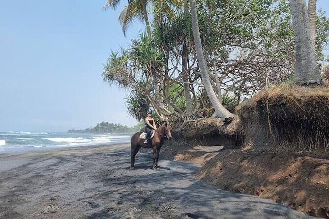 Private Bali Horse ride - Authentic Insights from Reviews