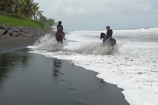 Private Bali Horse ride - Frequently Asked Questions