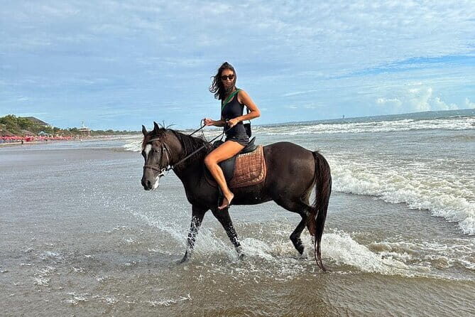 Private Bali Horse Riding and Surf lesson in Seminyak Beach - Horse Riding Experience: A Gentle Introduction to Bali’s Coastal Charm