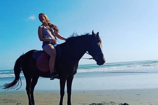 Private Bali Horse riding at saba beach - The Value for Money