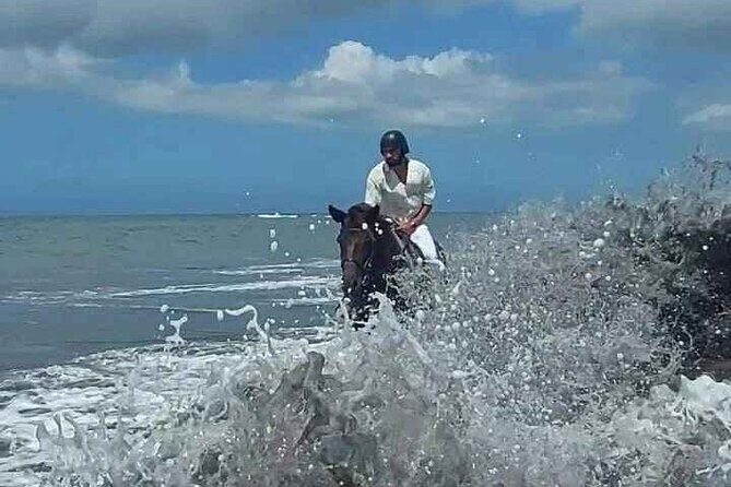 Private Bali Horse riding at saba beach - Practical Details to Keep in Mind
