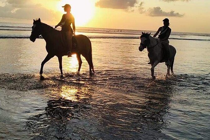 Private Bali Horse riding at saba beach - Who Is This Experience Best For?