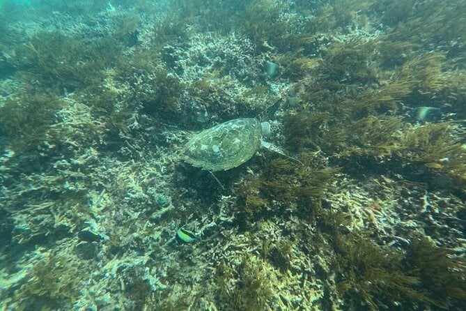 Private Bali Snorkling Blue Lagoon Beach - Package Inclusions