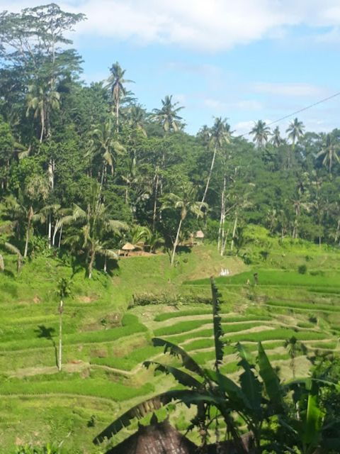 Private Bali Tour Charter - Driver & Guide Information