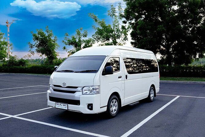 Private Bali Tour Shore Excursion Cruise Ship from Benoa Port - Authenticity and Local Experience