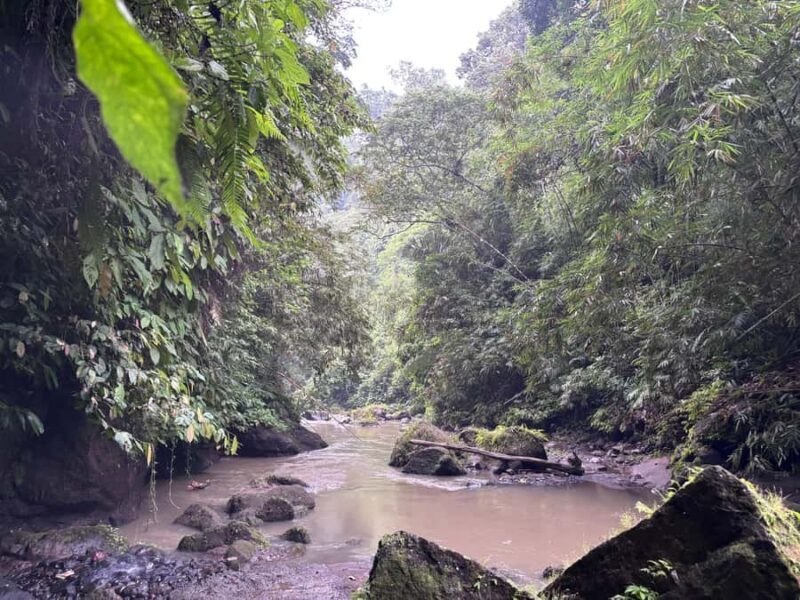 Private Balinese Body and Soul Cleansing Journey - FAQs