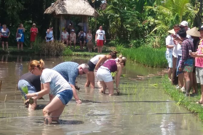 Private Balinese Village and Tanah Lot Temple Cultural Tour - Village Exploration