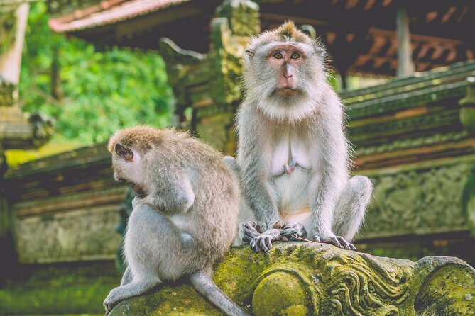 Private Balis North Sacred Sites and Idyllic Nature Exploration - Explore North Balis Sacred Sites