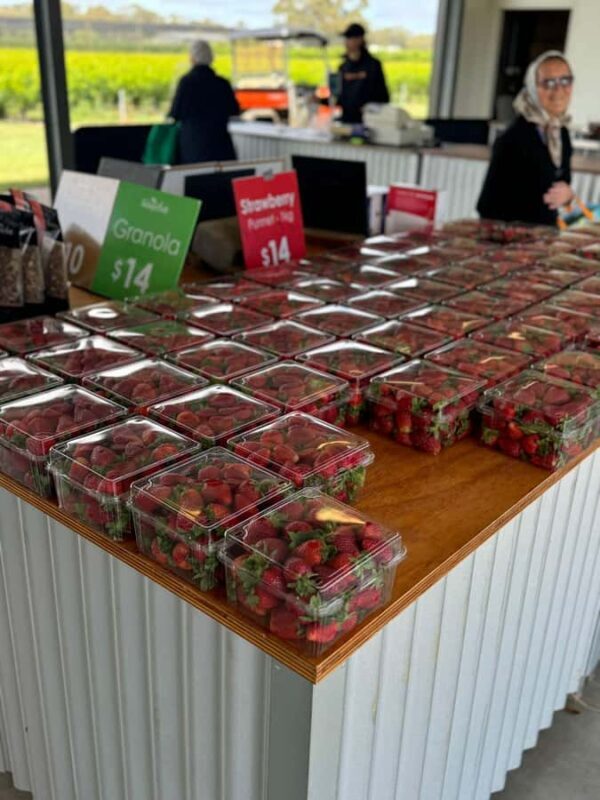 Private Ballarat Sovereign Hill Gold Mine Tours - Introduction: What to Expect from This Private Gold Tour