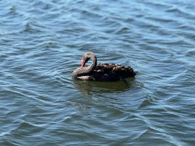 Private Ballarat Sovereign Hill Gold Mine Tours - FAQ