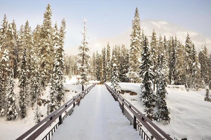 Private Banff and Yoho National Park Tour With Moraine Lake - Meeting and Pickup Details