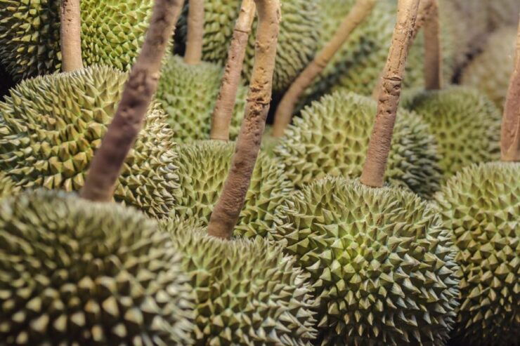 Private Bangkok Chinatown 3.5-Hour Night Food Tour - Experience