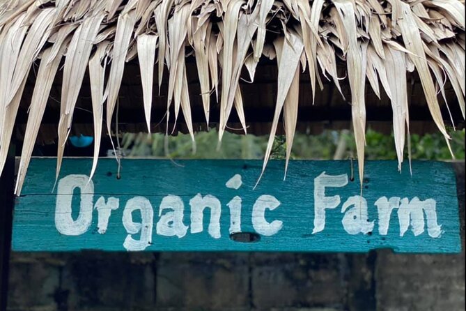 Private Bangkok Small Teak Boat Canal Tour With Cooking in Garden - Traveler Experiences