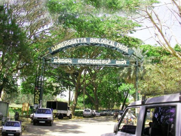 Private Bannerghatta National Park Day Excursion - Activity Details