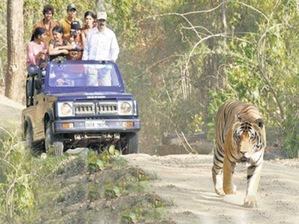 Private Bannerghatta National Park Day Excursion - Experience