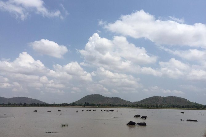 Private Banteay Chhmar, Banteay Toap & Ang Trapaeng Thma Guided Tour - Reviews and Ratings