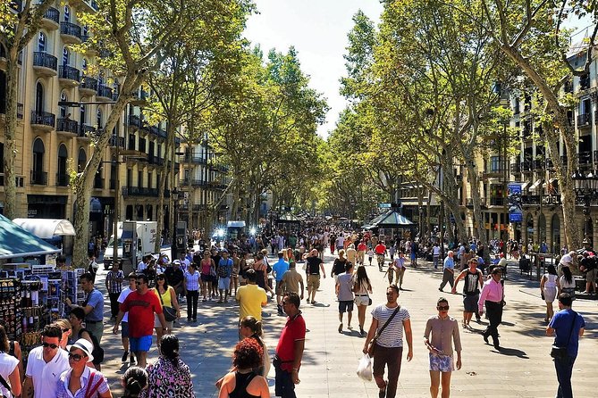 Private Barcelona and Park Güell Tour With Hotel Pick-Up - Comprehensive Tour Experience