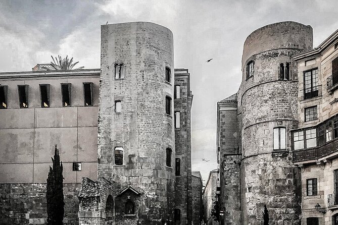Private Barcelona Old Town Walking Tour: Gothic Quarter & Born - Rich History and Architecture