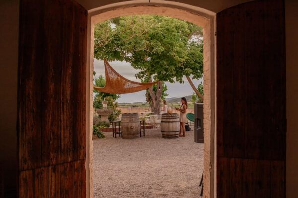 PRIVATE Barcelona: Penedès 3 Wine Tastings + 3-Course Lunch - Gourmet Lunch With Local Products