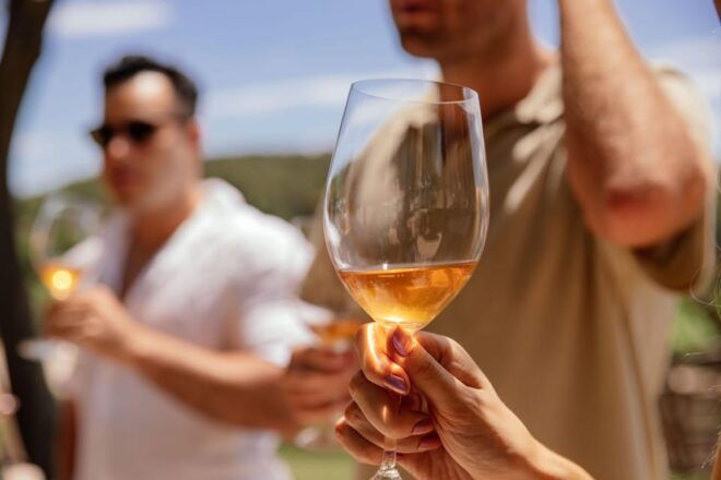 PRIVATE Barcelona: Penèdes Horse Riding &Wine Tastings+Tapas - Customizable Options