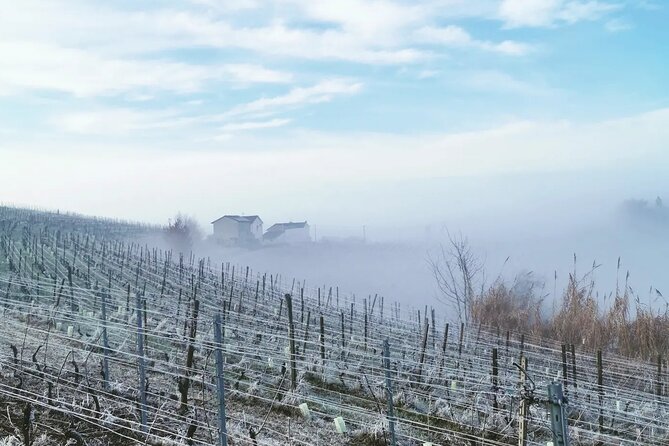 Private Barolo and Barbaresco Wine Tour Including Tastings - Common Questions