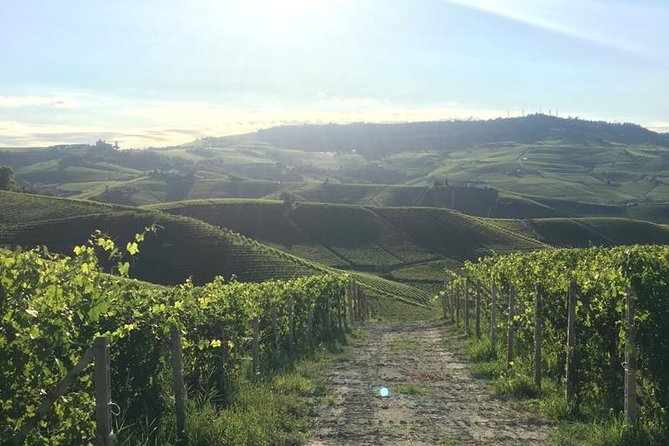 Private Barolo / Barbaresco - Piedmont Wine Tours and Tastings - Inclusions and Pickup