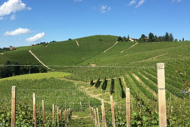 Private Barolo / Barbaresco - Piedmont Wine Tours and Tastings - What to Expect