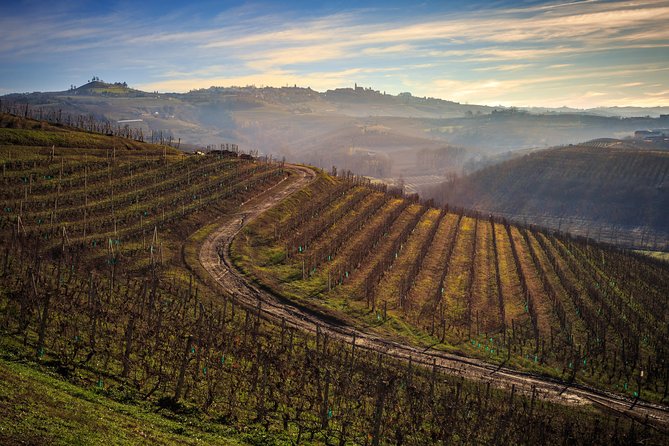 Private Barolo / Barbaresco - Piedmont Wine Tours and Tastings - Langhe Landscapes