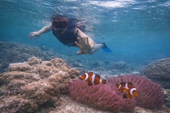 Private Batam Island Snorkeling and Canoe from Singapore - Good To Know