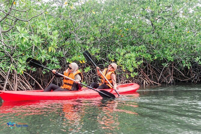 Private Batam Island Snorkeling and Canoe from Singapore - An In-Depth Look at the Tour Experience